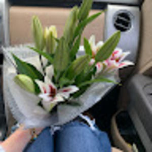 Meet your Posher, Evelyn